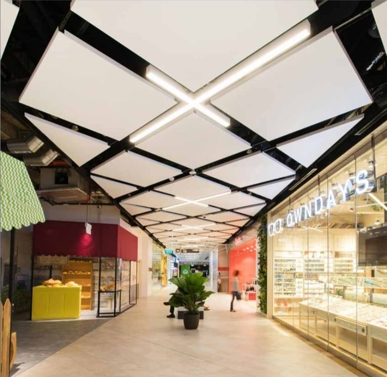 Luxury interior ceiling design